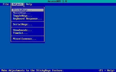 (image for) AccessDOS (1991)