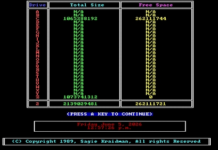 (image for) Disk Size Including Network Drives MS-DOS (1989)