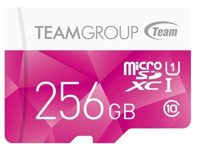 Team 256GB Micro SDXC UHS-1 Class-10 Memory Card
